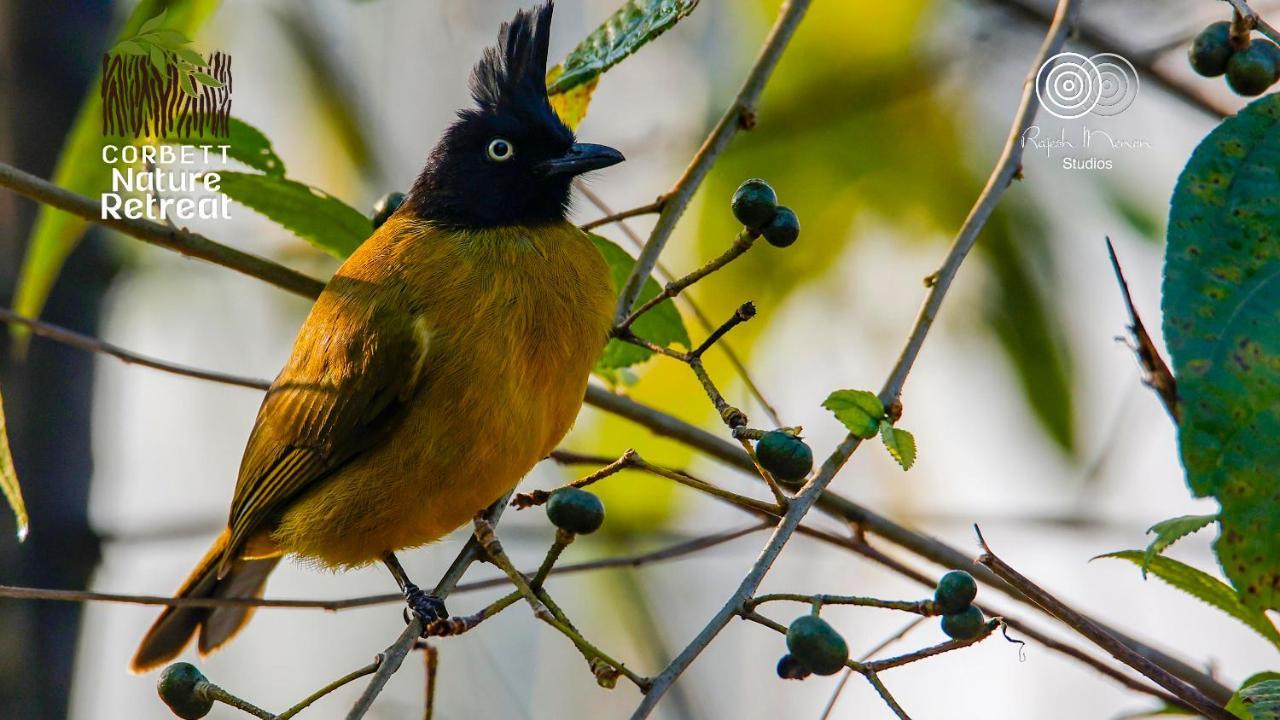 Corbett Nature Retreat Рамнагар Екстериор снимка