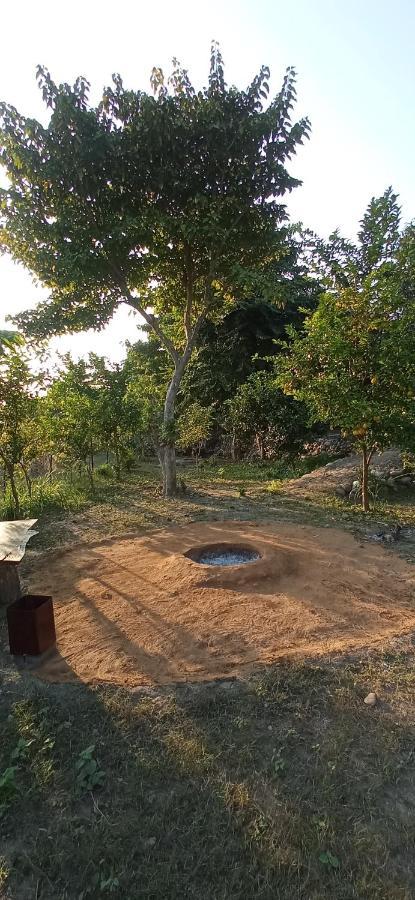 Corbett Nature Retreat Рамнагар Екстериор снимка